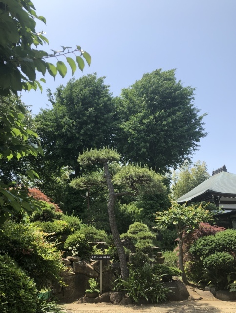a0027014_13583050.jpeg