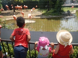 上野動物園_f0153418_18142081.jpg