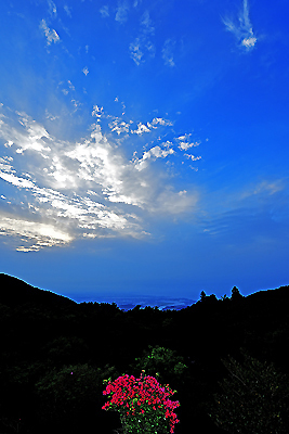 b0169522_19503682.jpg