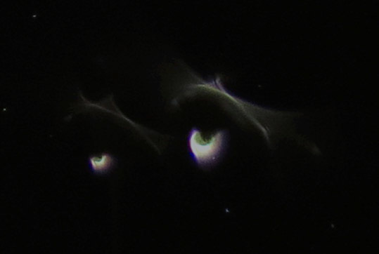 c0331825_18433659.jpg