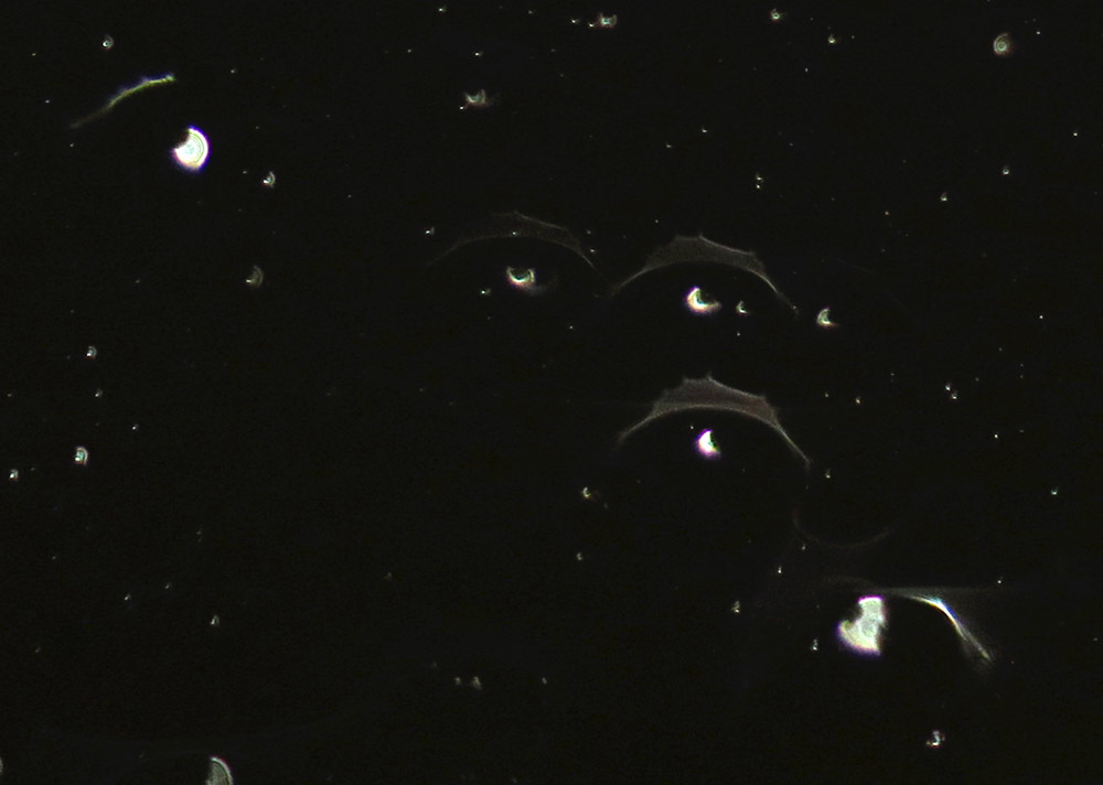 c0331825_18435350.jpg