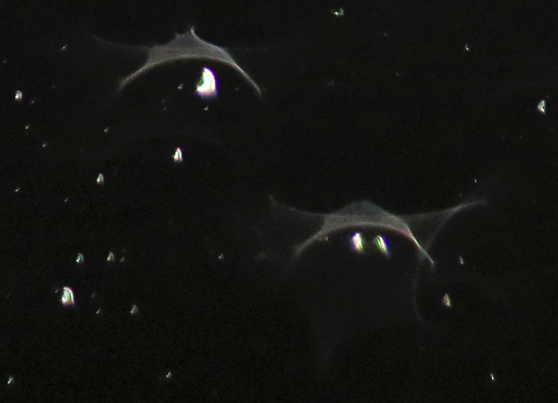 c0331825_18553276.jpg