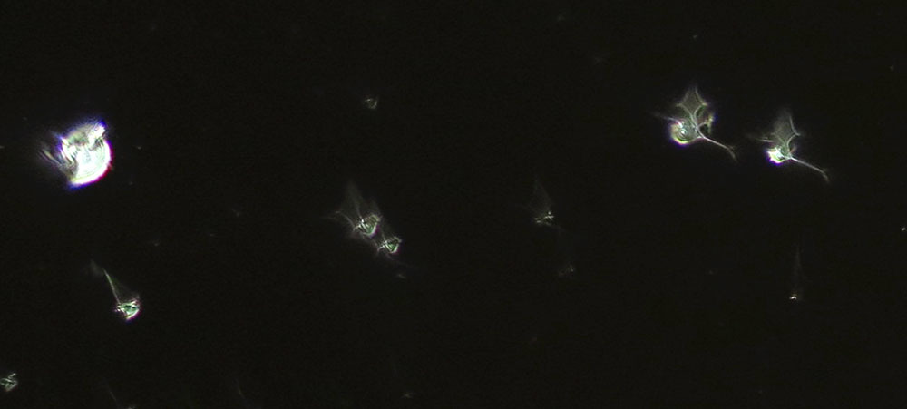 c0331825_18592952.jpg