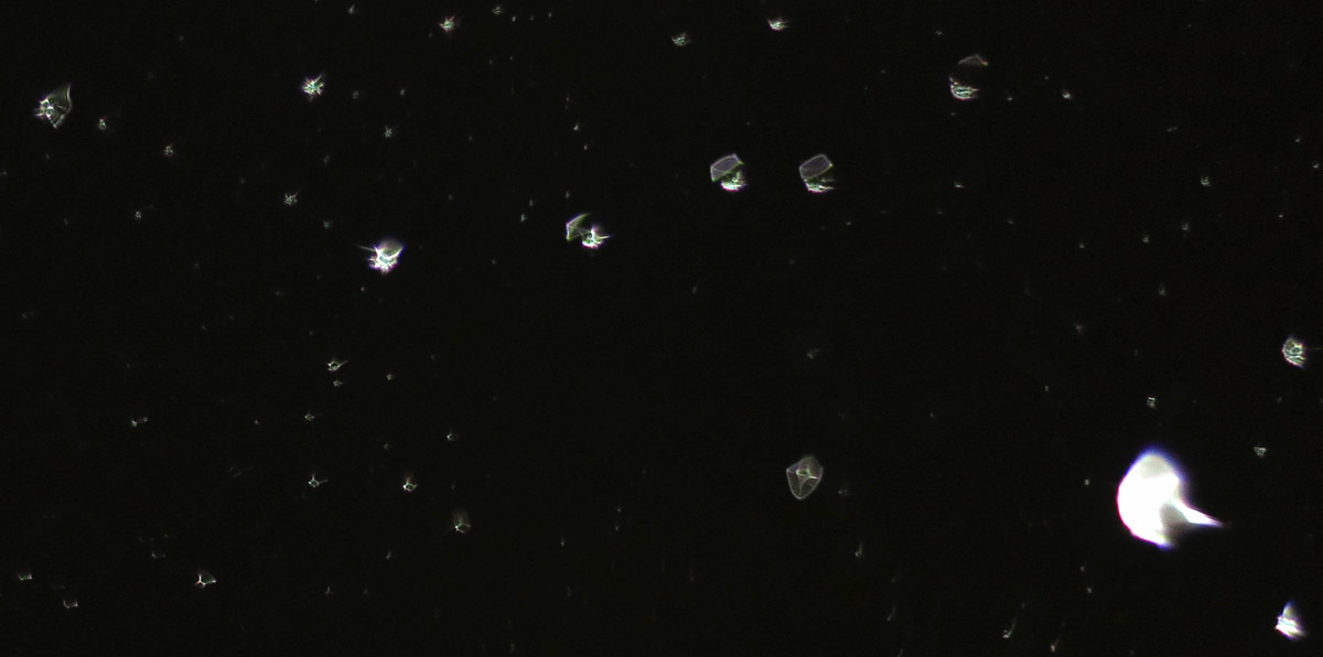 c0331825_18593918.jpg