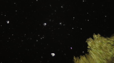c0331825_19003208.jpg