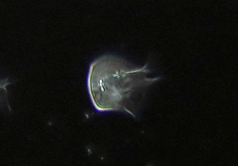 c0331825_19024770.jpg