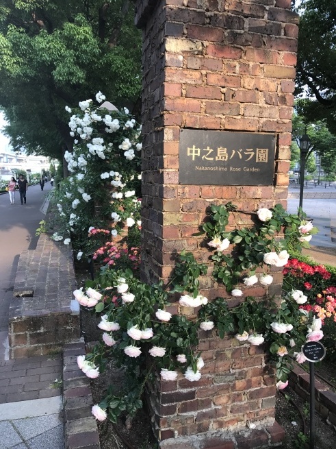中之島バラ園入口からバラ園内までの道 Keikey S Blog