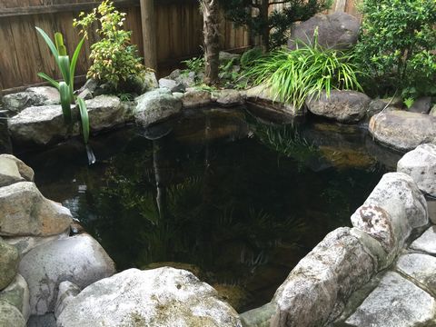 b0042334_0143480.jpg