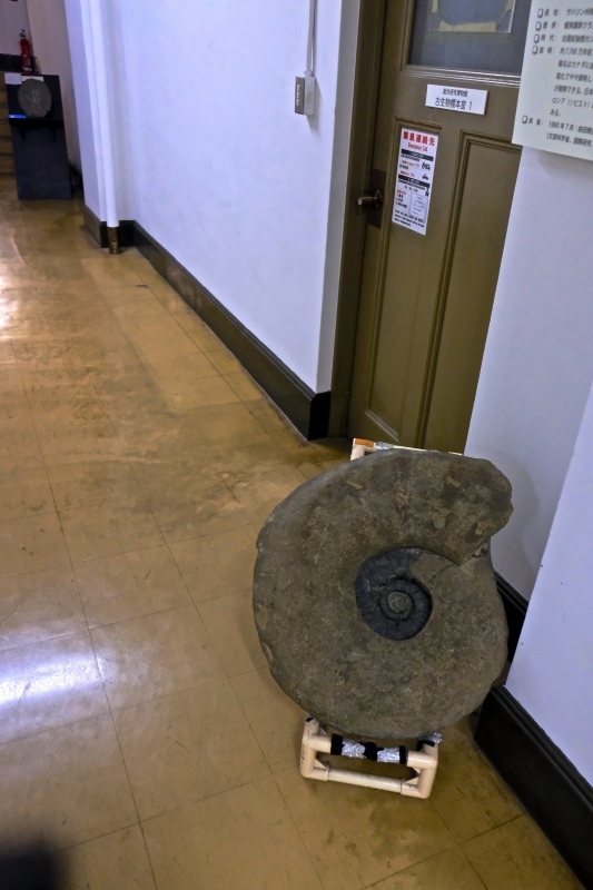 f0315034_15190961.jpg