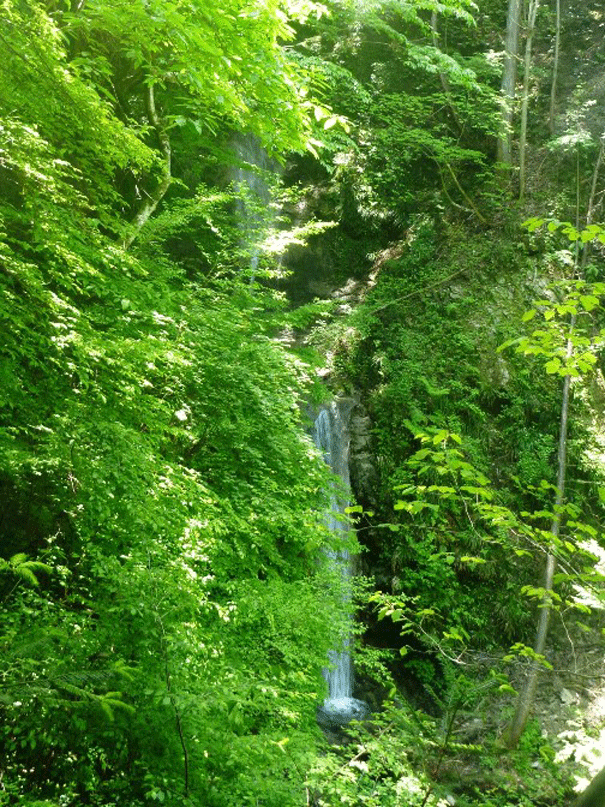 e0371039_8443195.gif