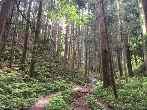 b0330040_17435470.jpeg