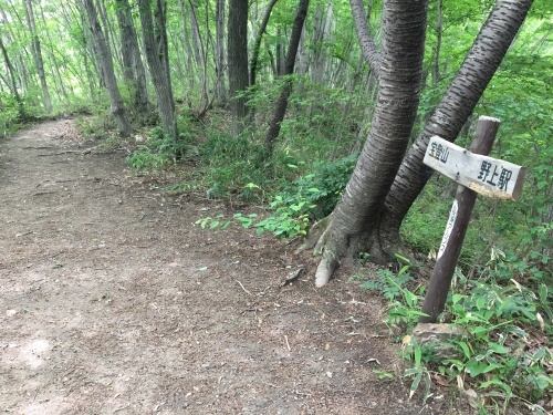 b0330040_17455012.jpeg