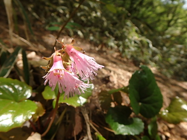 f0334143_9225539.jpg