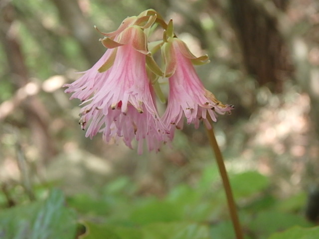 f0334143_9235611.jpg
