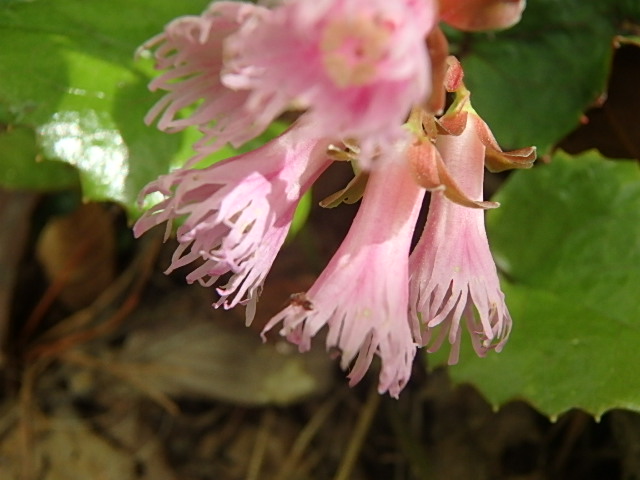f0334143_9241531.jpg