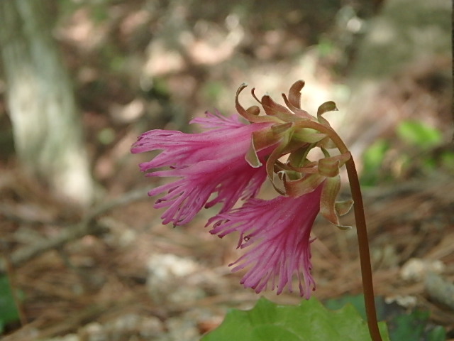 f0334143_924550.jpg