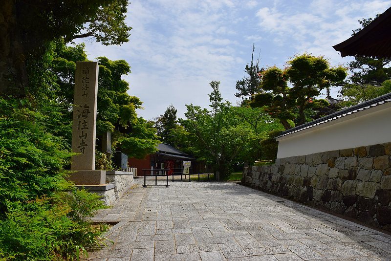 海住山寺(かいじゅうせんじ)の観音像 20180516_e0237645_23343885.jpg