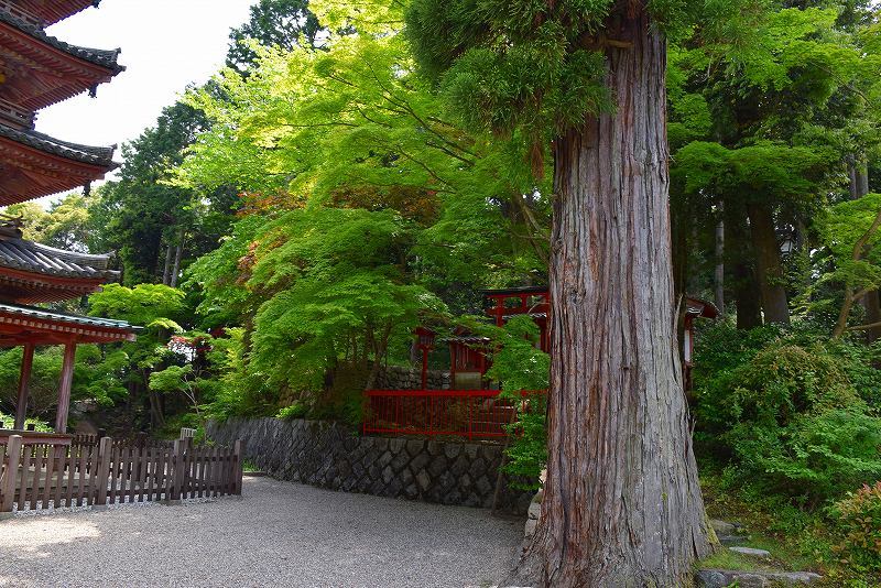 海住山寺(かいじゅうせんじ)の観音像 20180516_e0237645_23343971.jpg