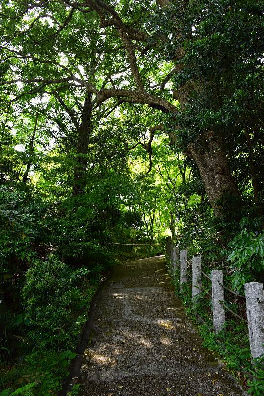 海住山寺(かいじゅうせんじ)の観音像 20180516_e0237645_23343987.jpg