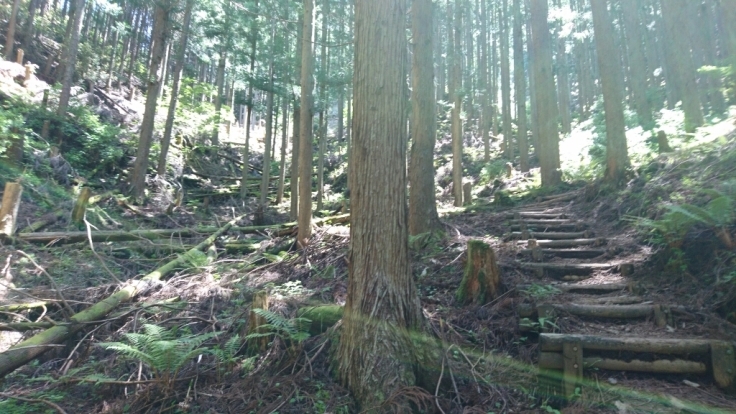 b0148050_08053082.jpg