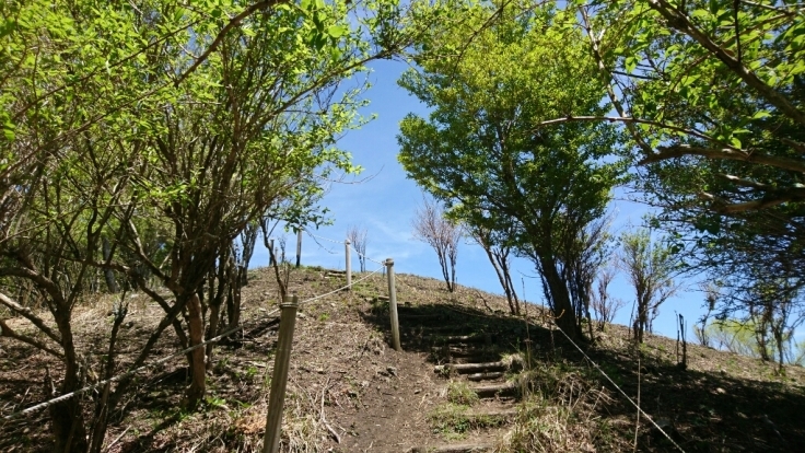 b0148050_08054746.jpg