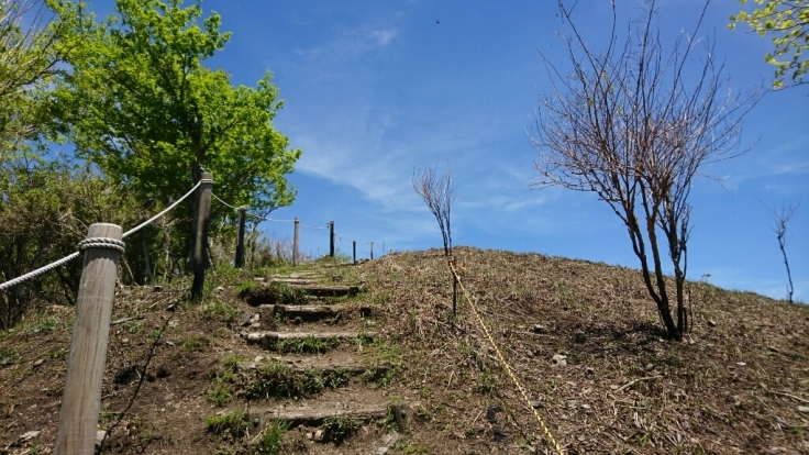 b0148050_08090382.jpg