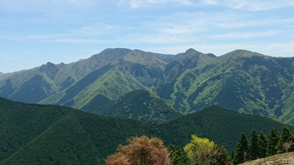 b0148050_08091341.jpg