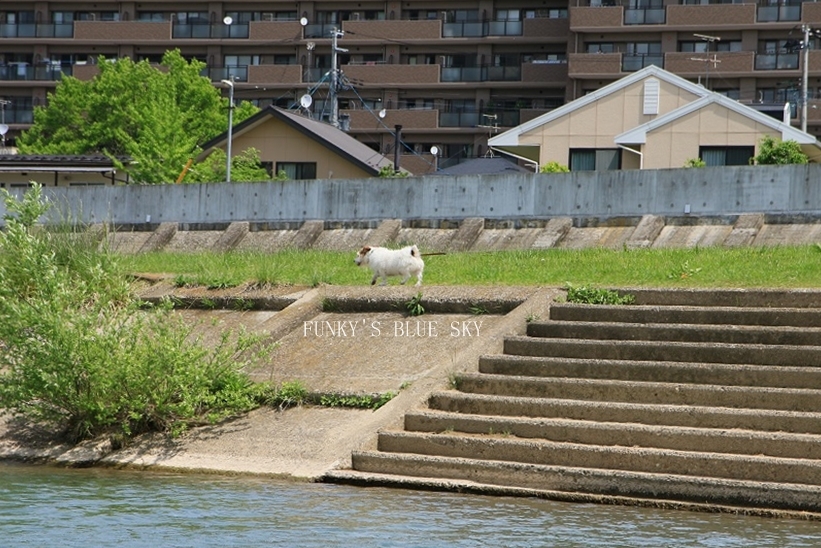 小さな船旅♪_c0145250_09000854.jpg