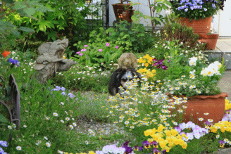 c0145250_09142802.gif