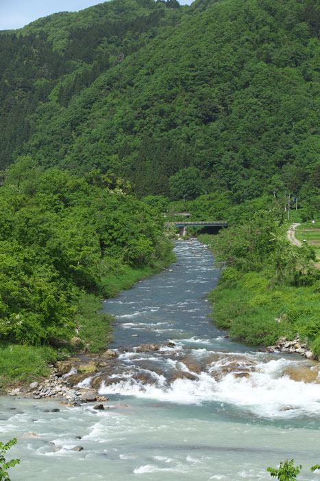d0342652_21482.jpg