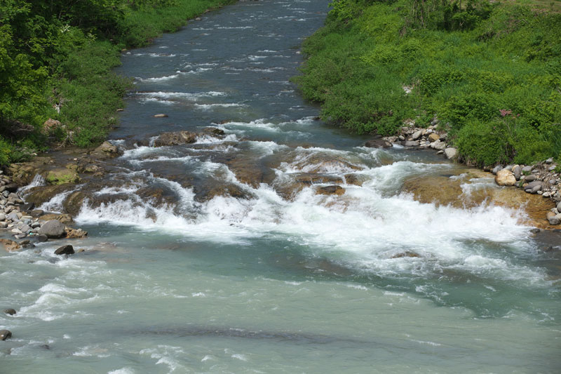 d0342652_2152466.jpg