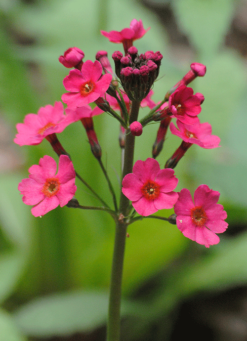 a0001354_20080908.gif