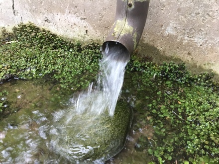 a0346455_08232118.jpeg