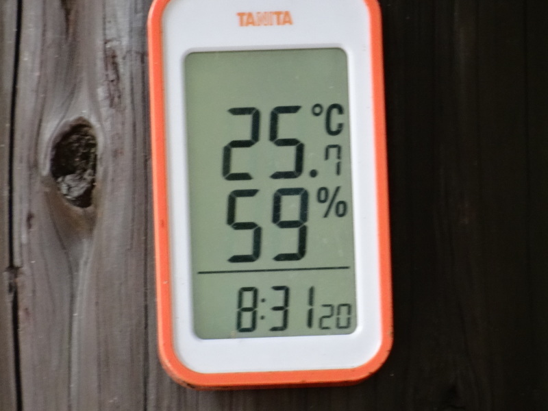 c0108460_17413192.jpg