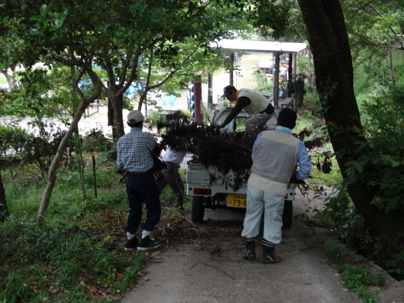 おにぎり広場周辺片付け＆ササユリ第１号開花・・・うみべの森_c0108460_17483632.jpg