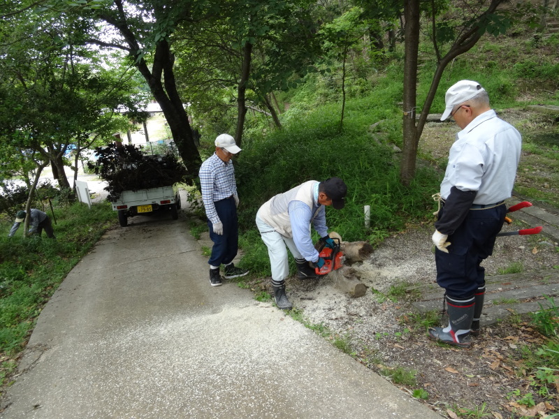 おにぎり広場周辺片付け＆ササユリ第１号開花・・・うみべの森_c0108460_17485633.jpg