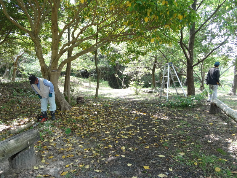 おにぎり広場周辺片付け＆ササユリ第１号開花・・・うみべの森_c0108460_17542872.jpg