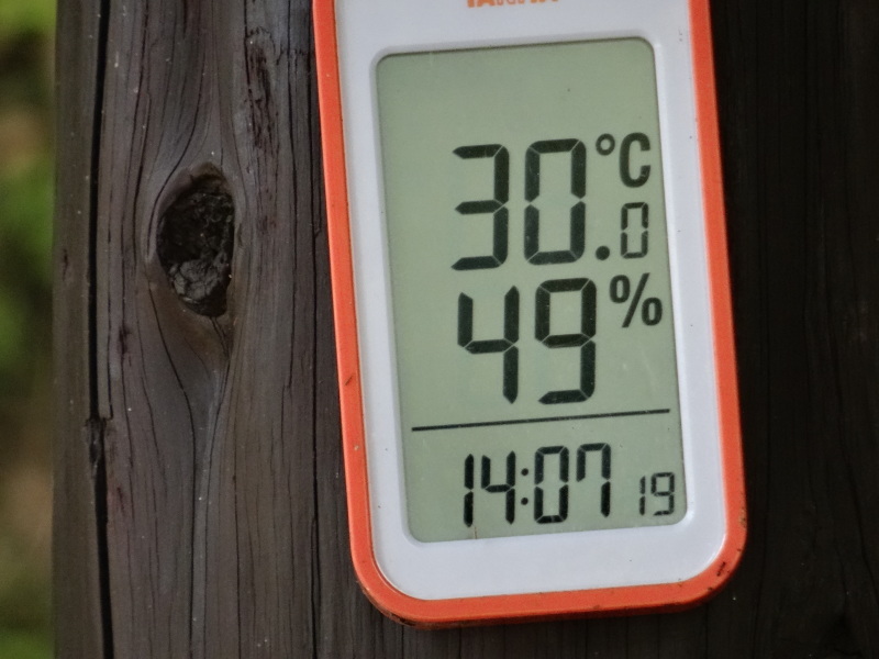c0108460_17544932.jpg