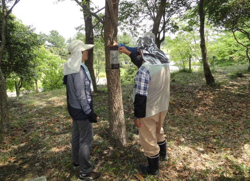 おにぎり広場周辺片付け＆ササユリ第１号開花・・・うみべの森_c0108460_18504716.jpg