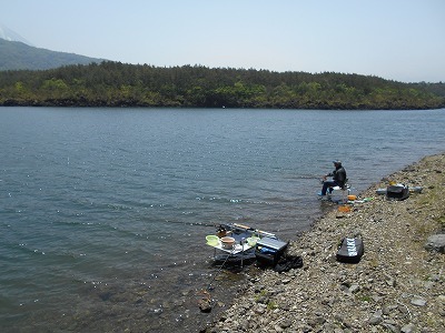 18年5月16日西湖大ジラ バクバク ヘラブナ釣行記
