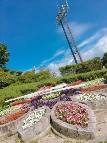 d0166862_15580389.jpg