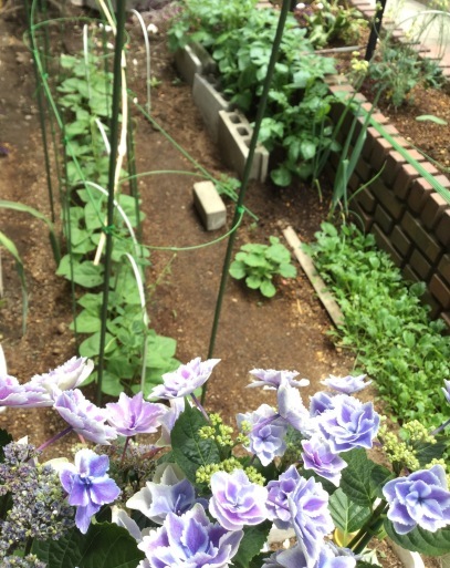 a0053063_21241046.jpeg