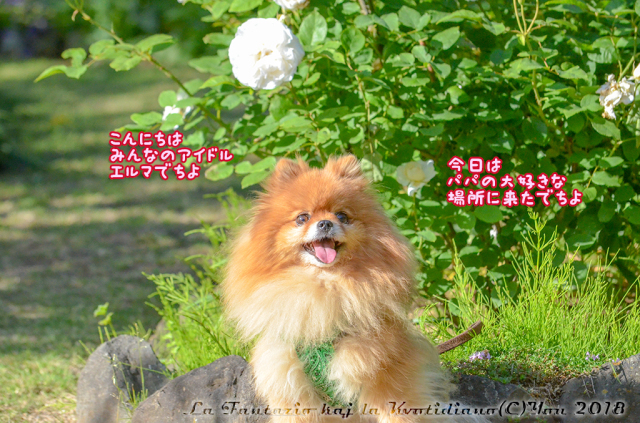 a0004070_17205165.jpg