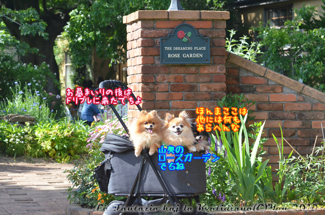 a0004070_17304636.jpg