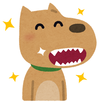 来月のキャンペーン予告です(\'ω\')ノ_e0367571_12071180.png
