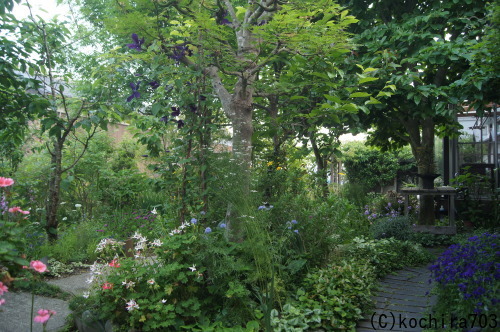 e0181373_21004629.jpg
