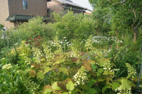 e0181373_21023605.jpg