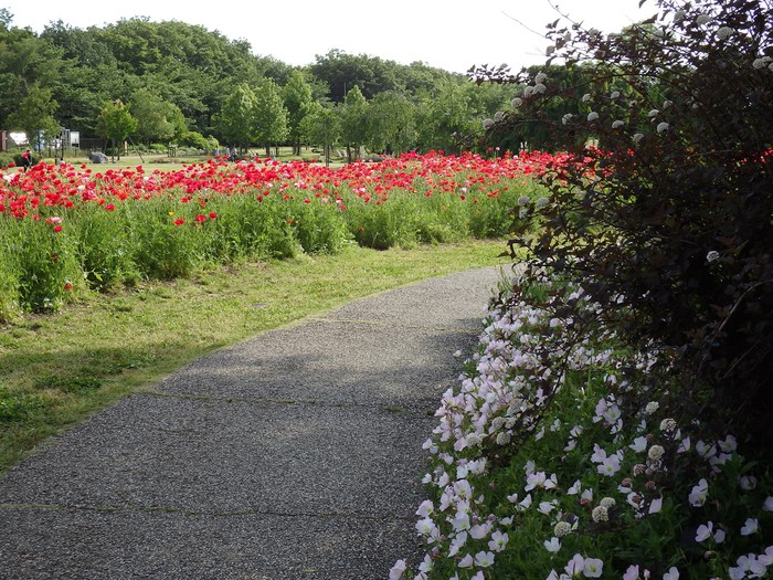 d0054276_20443730.jpg