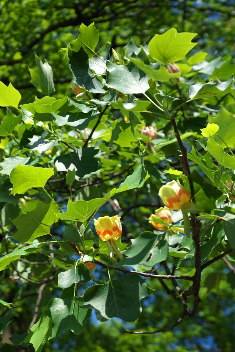 a0083081_21375244.jpg