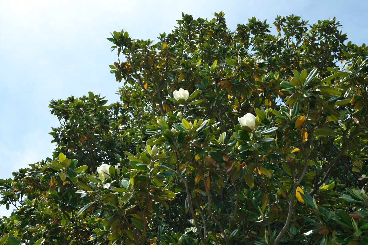 a0083081_21380254.jpg